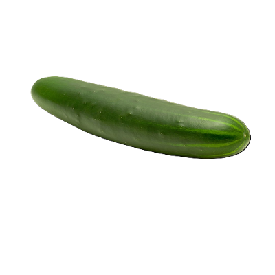 Cucumber