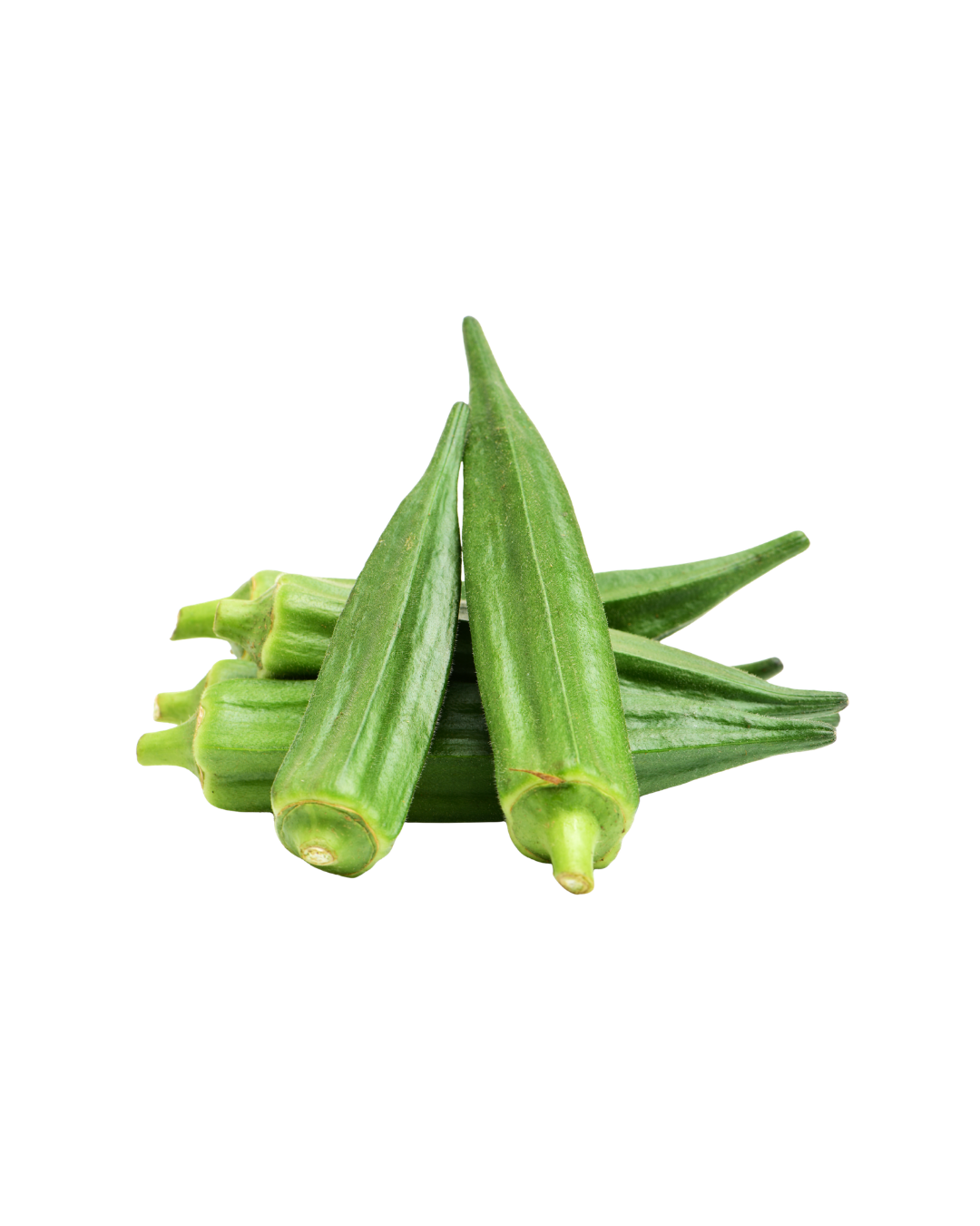 Okra