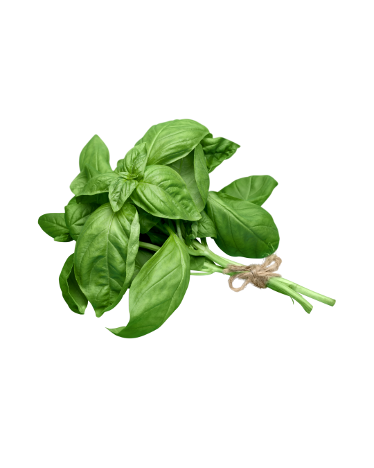 Thai Basil