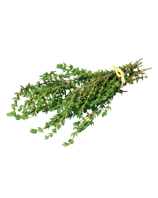 Thyme